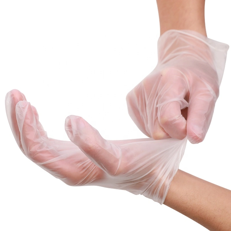 CE FDA SGS Certified Clear Disposable Food Processing Vinyl Glove Powder Free
